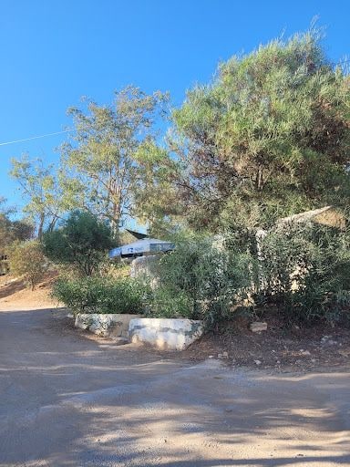 Fotoğraf 26