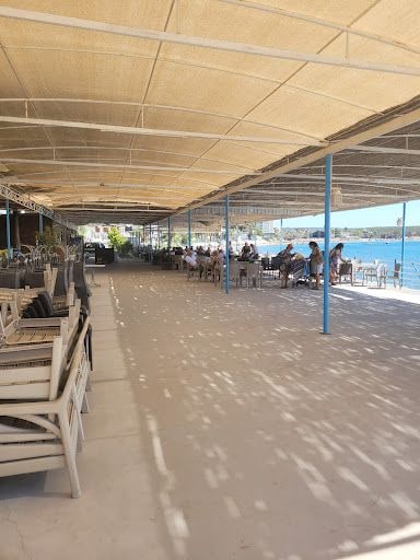 Fotoğraf 29