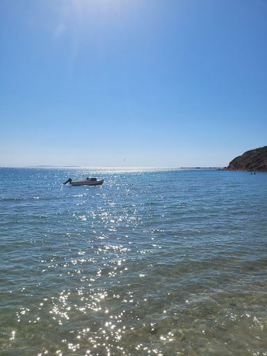 Fotoğraf 32