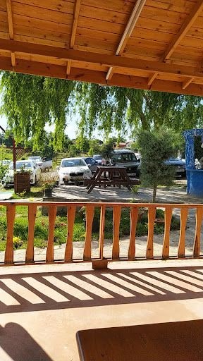 Fotoğraf 20
