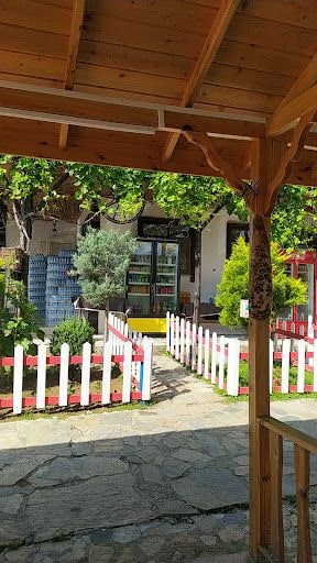 Fotoğraf 22
