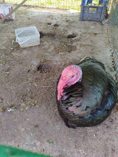 Fotoğraf 24