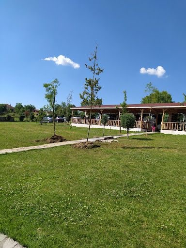 Fotoğraf 25
