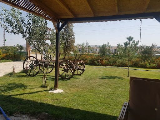 Fotoğraf 19