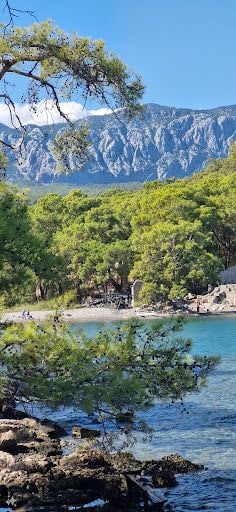 Fotoğraf 26
