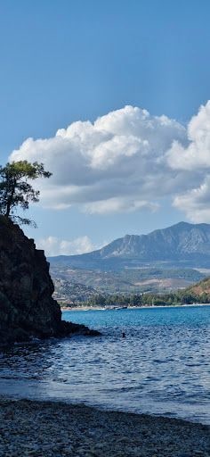 Fotoğraf 27