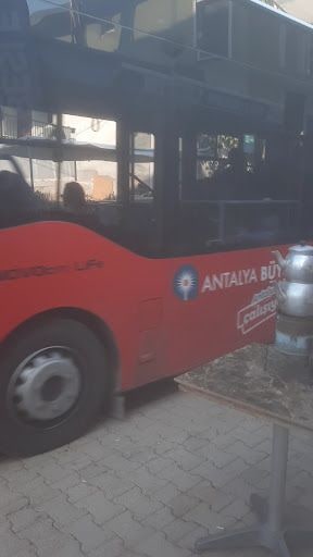 Fotoğraf 14