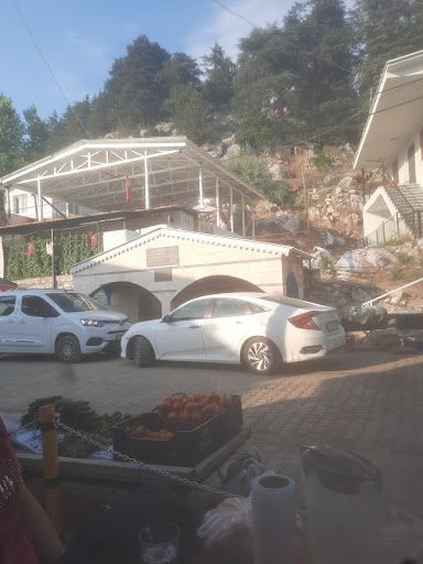 Fotoğraf 15