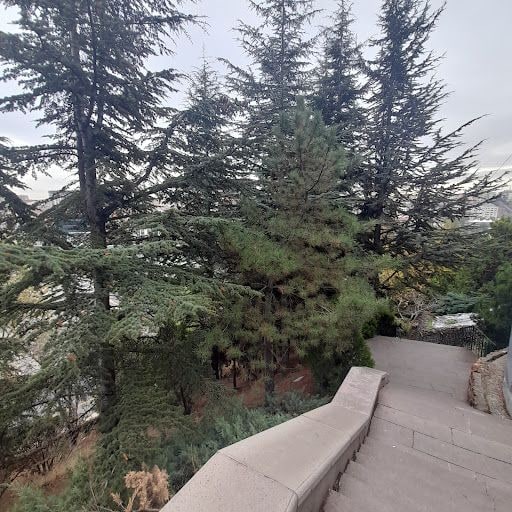 Yorum fotoğrafı 10