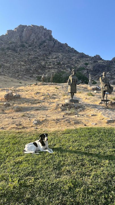 Yorum fotoğrafı 2