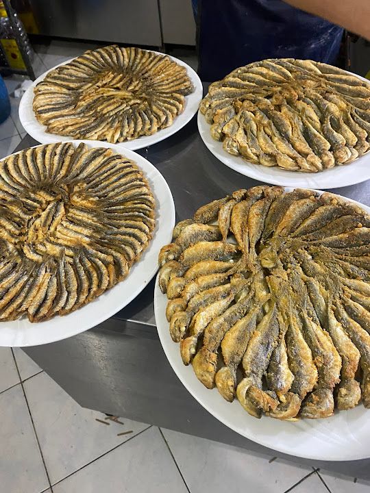 Fotoğraf 11
