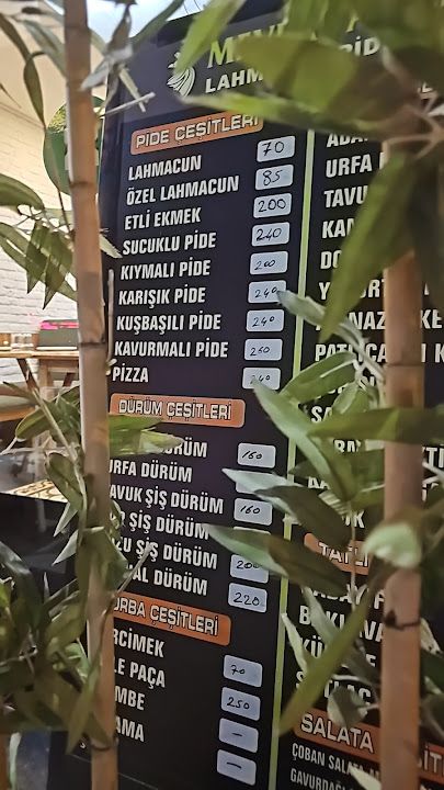 Fotoğraf 13
