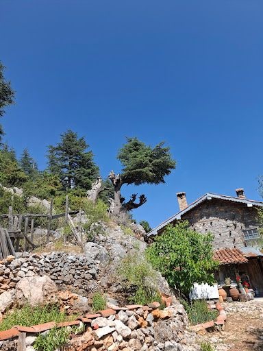 Yorum fotoğrafı 3
