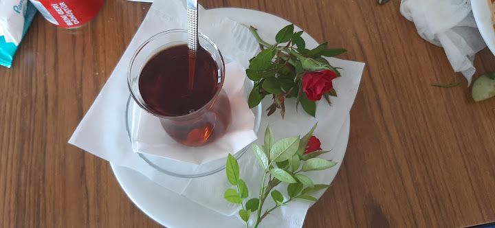 Fotoğraf 41