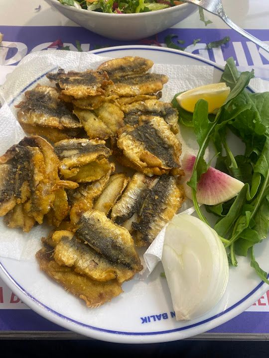 Fotoğraf 17