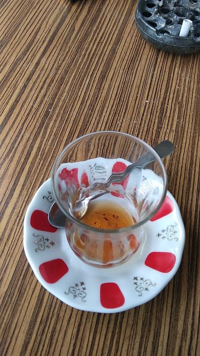 Fotoğraf 15