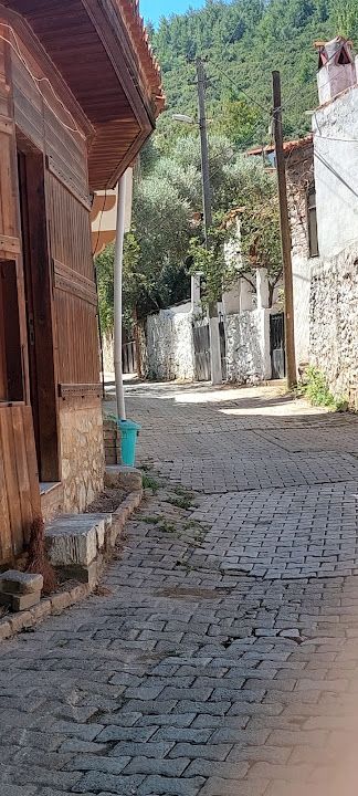 Yorum fotoğrafı 4
