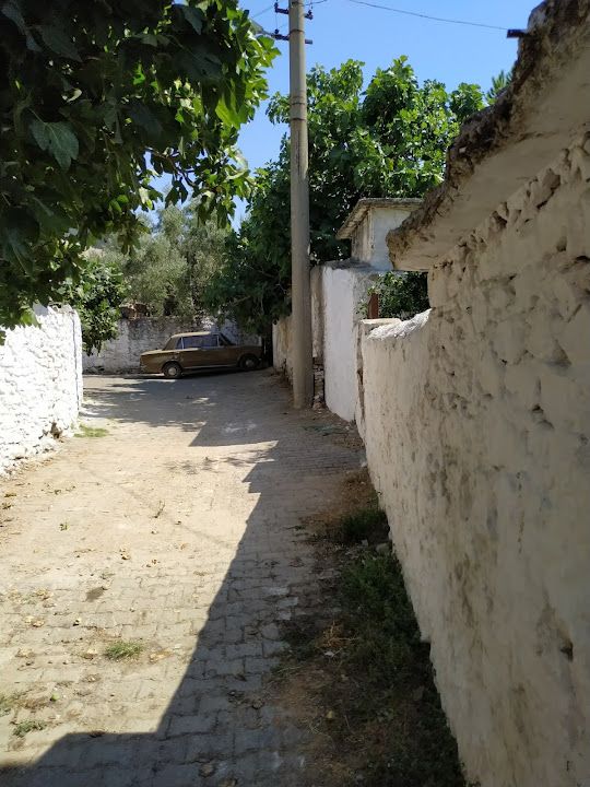 Fotoğraf 65
