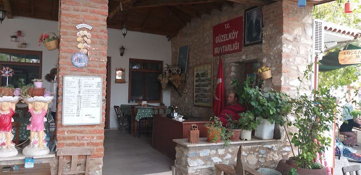 Fotoğraf 61