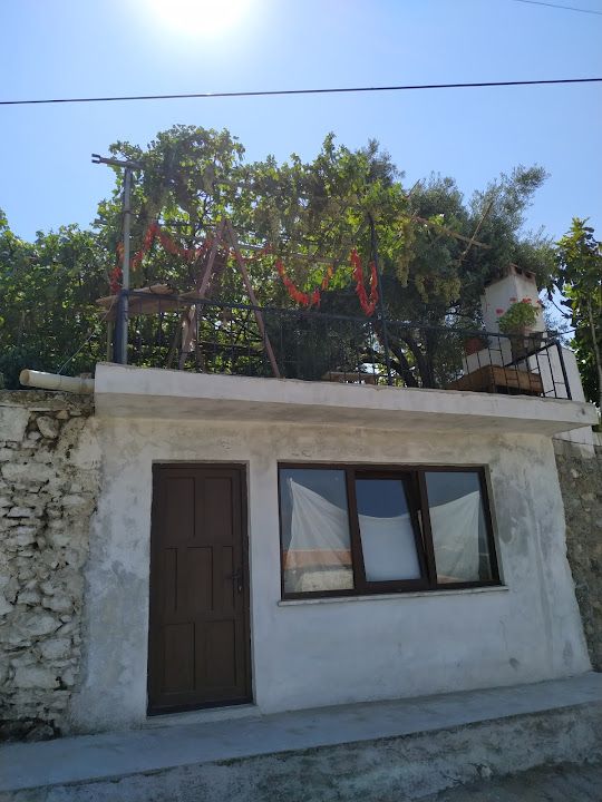 Fotoğraf 64
