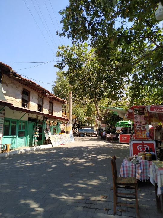 Fotoğraf 63