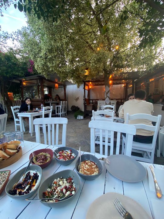 Fotoğraf 59