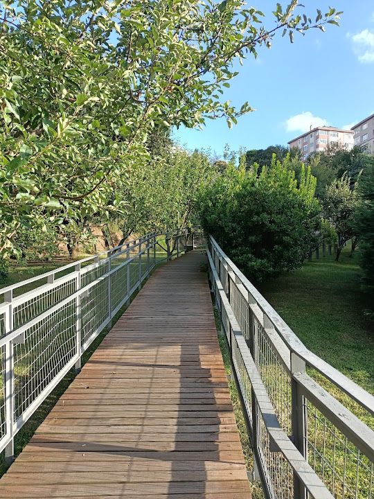Yorum fotoğrafı 4