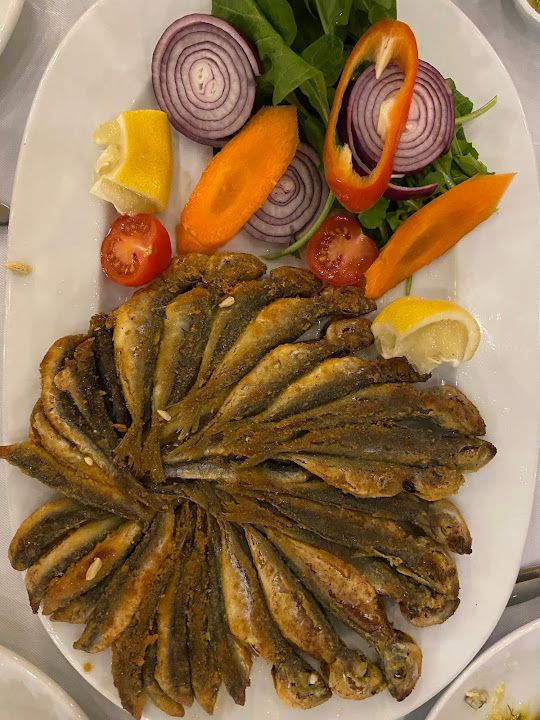 Fotoğraf 20