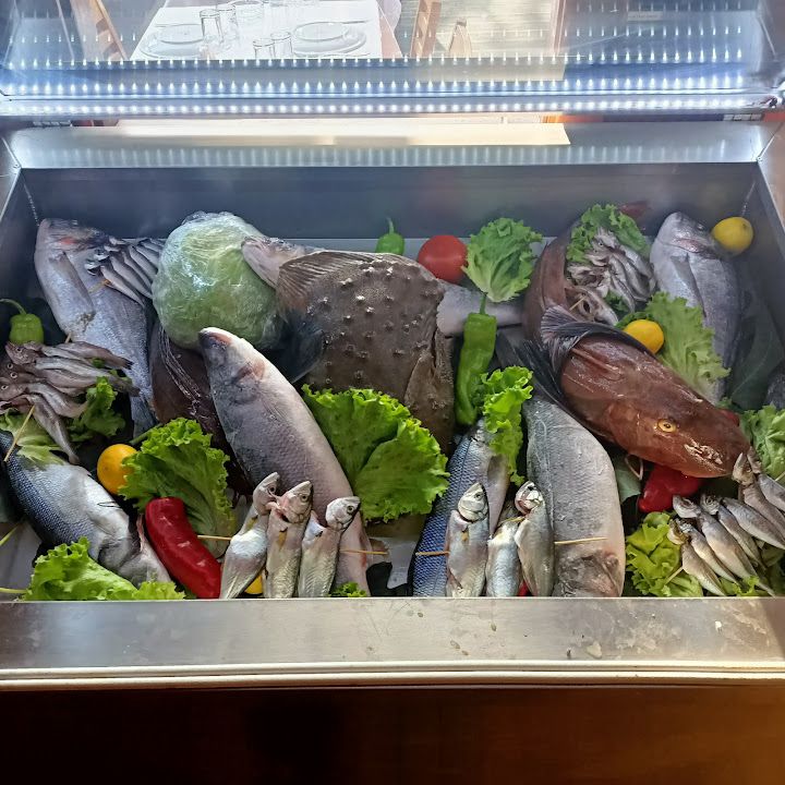 Fotoğraf 37