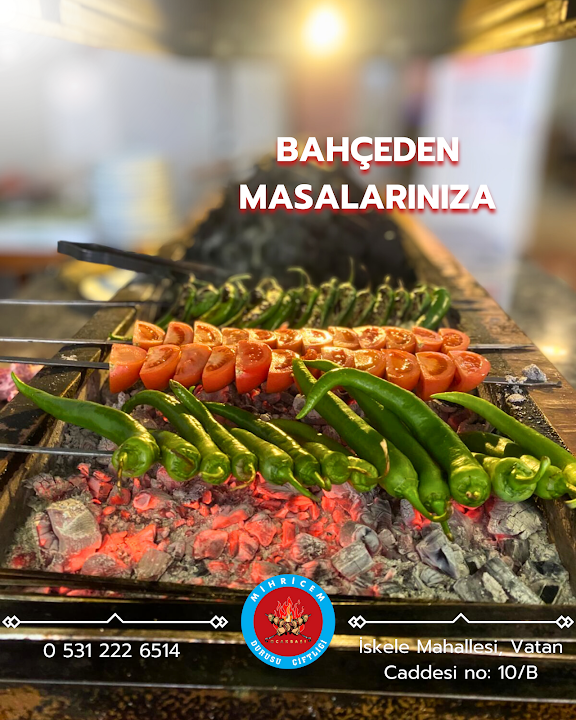 Fotoğraf 23