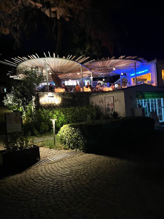 Fotoğraf 25
