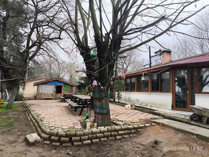 Yorum fotoğrafı 2