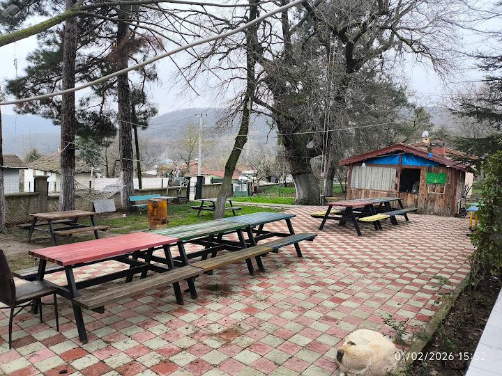 Yorum fotoğrafı 3