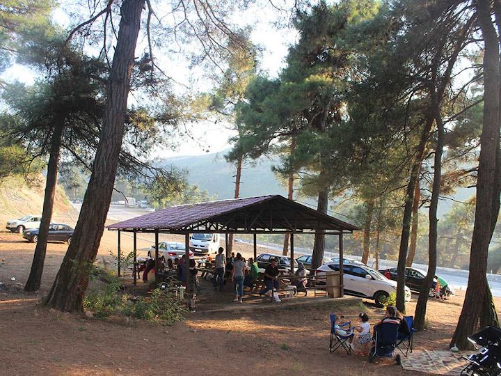 Çamlık Et Mangal
