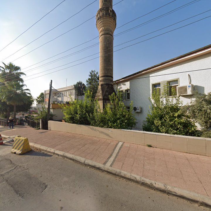 Fotoğraf 5