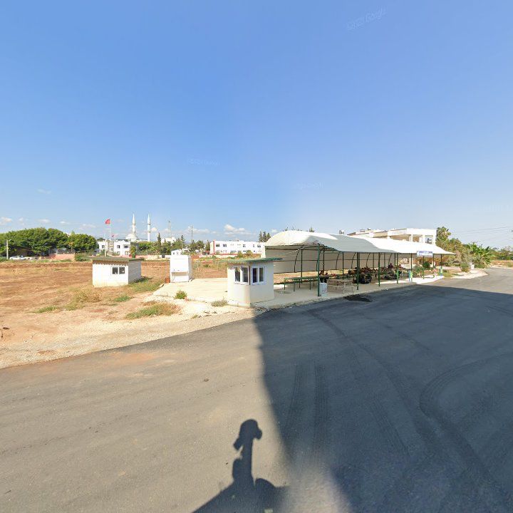 Fotoğraf 5