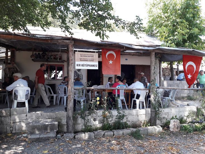 Kır kütüphanesi