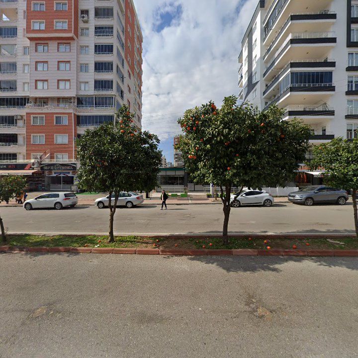 Fotoğraf 3