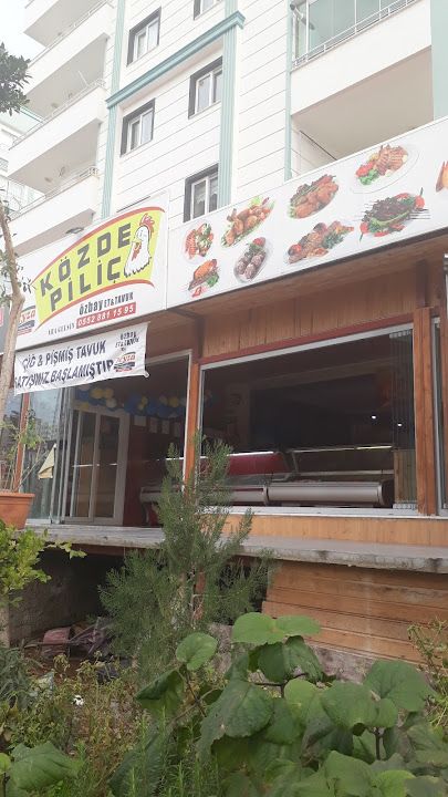 Özbay közde Piliç
