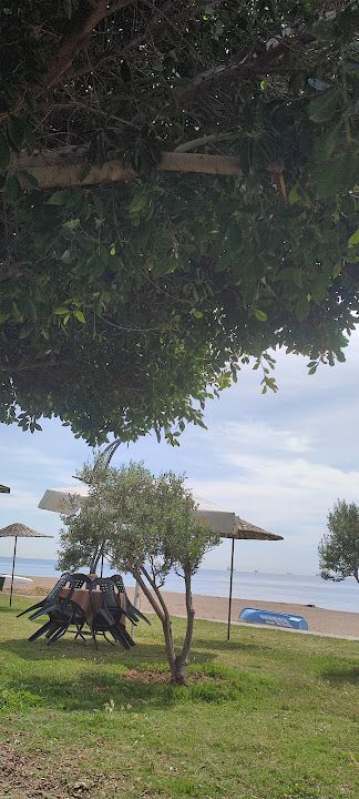 Selen Cafe