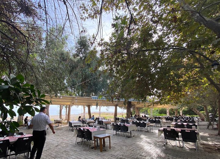 Söğütlüpınar Balık Restaurant
