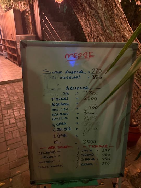 Fotoğraf 31