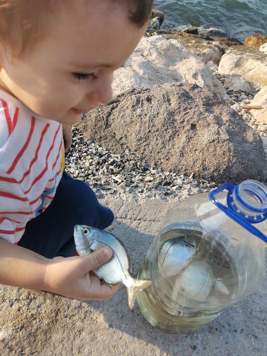 Fotoğraf 26