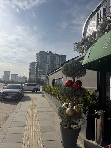 Yorum fotoğrafı 10