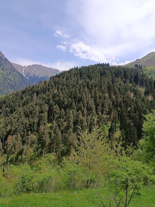 Yorum fotoğrafı 4