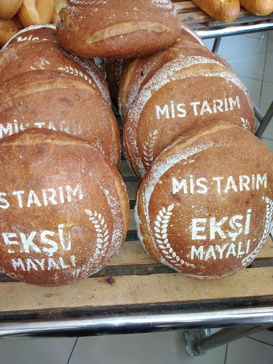 Fotoğraf 15