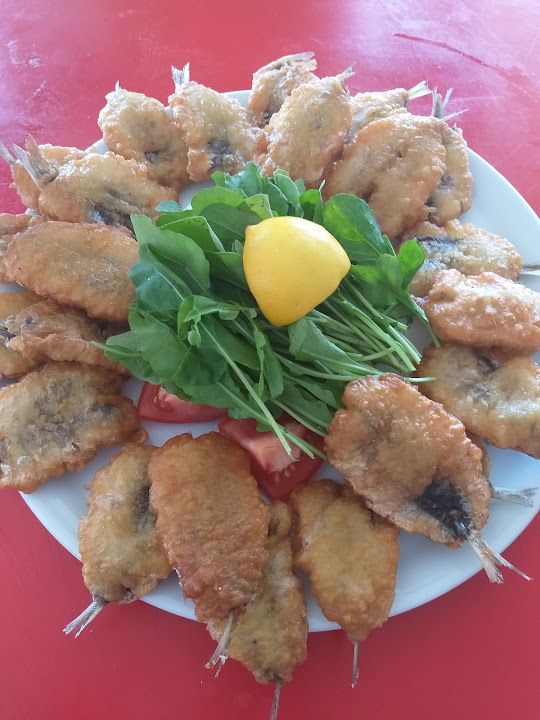 Fotoğraf 17