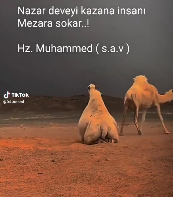 Fotoğraf 15