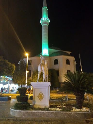 Fotoğraf 5