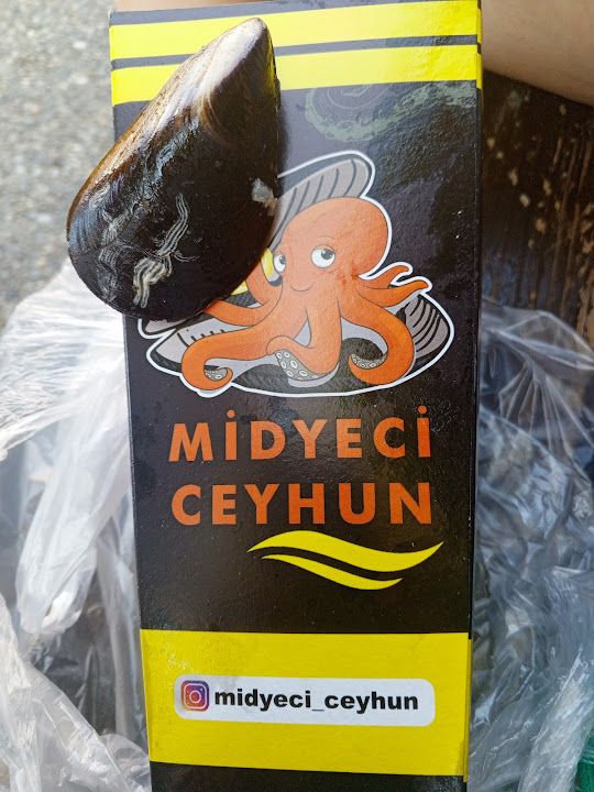 Fotoğraf 21